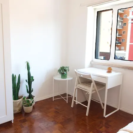 Cosmopolitan - Top Floor Проживание в семье